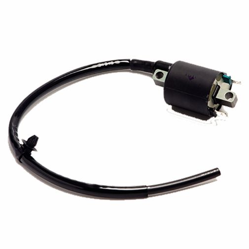 BobinaIgnicaoBiz1252009-90202550 BobinaIgnicaoBiz1252009-90202550