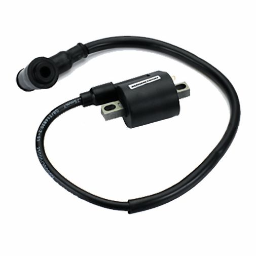 BobinaIgnicaoWeb100-90202480 BobinaIgnicaoWeb100-90202480