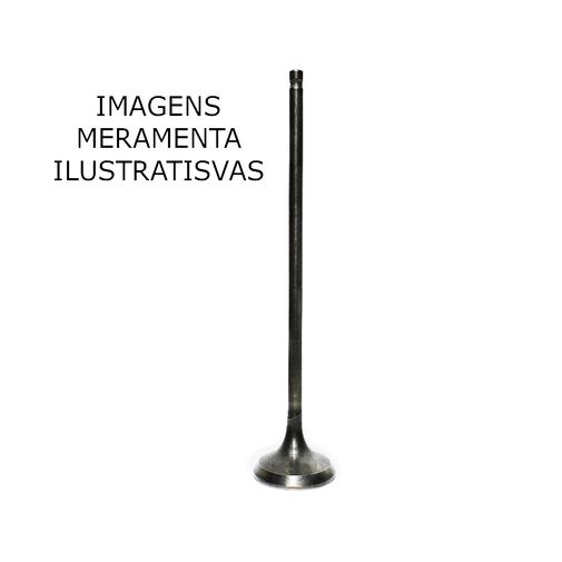 IMG_TESTE2 IMG_TESTE2