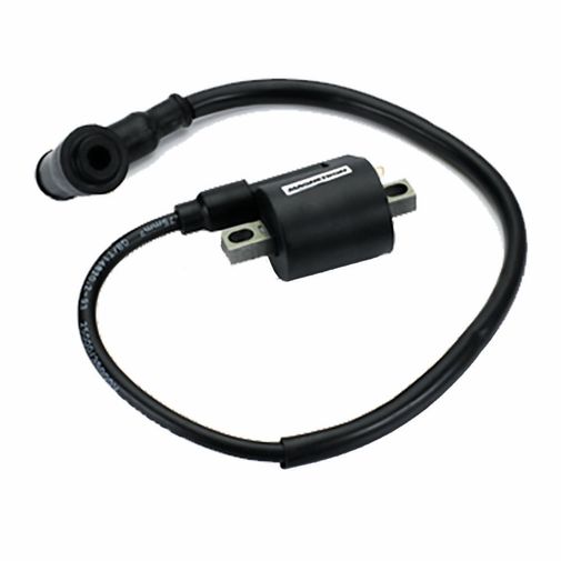 BobinaIgnicaoWeb100-90202480 BobinaIgnicaoWeb100-90202480