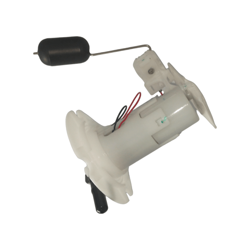 Photoroom-20240417_161345